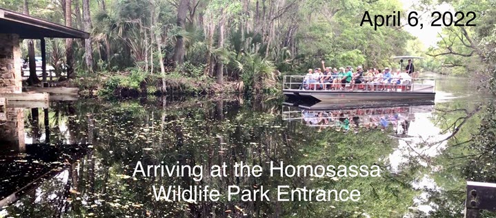 Arriving at Homosassa Wildlife Park Entrance 720px.jpg