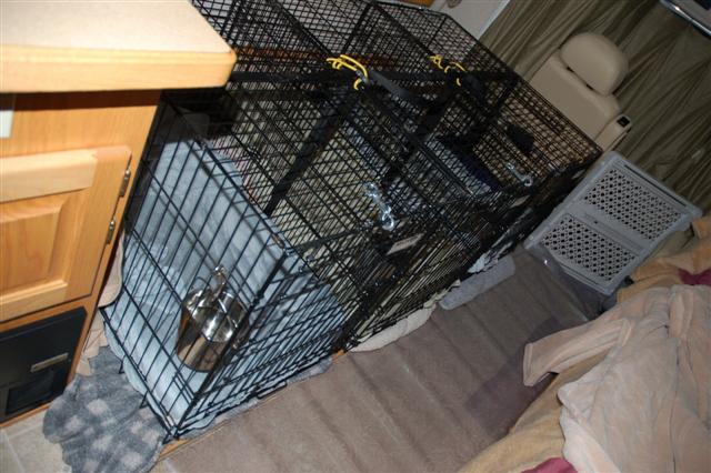 Crate setup for 3 large dogs